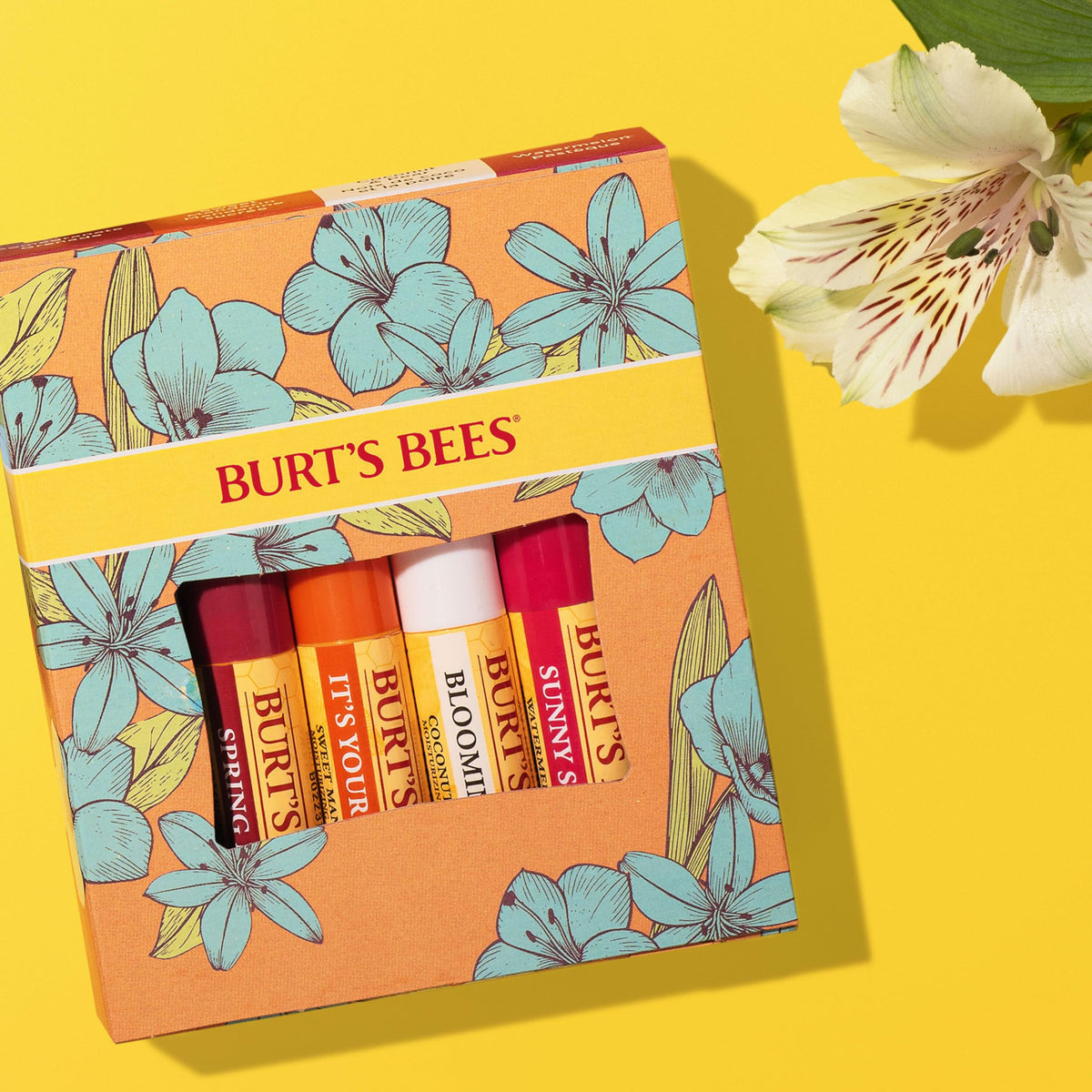 Burt's Bees pomegranate tube close-up highlighting natural-origin ingredients