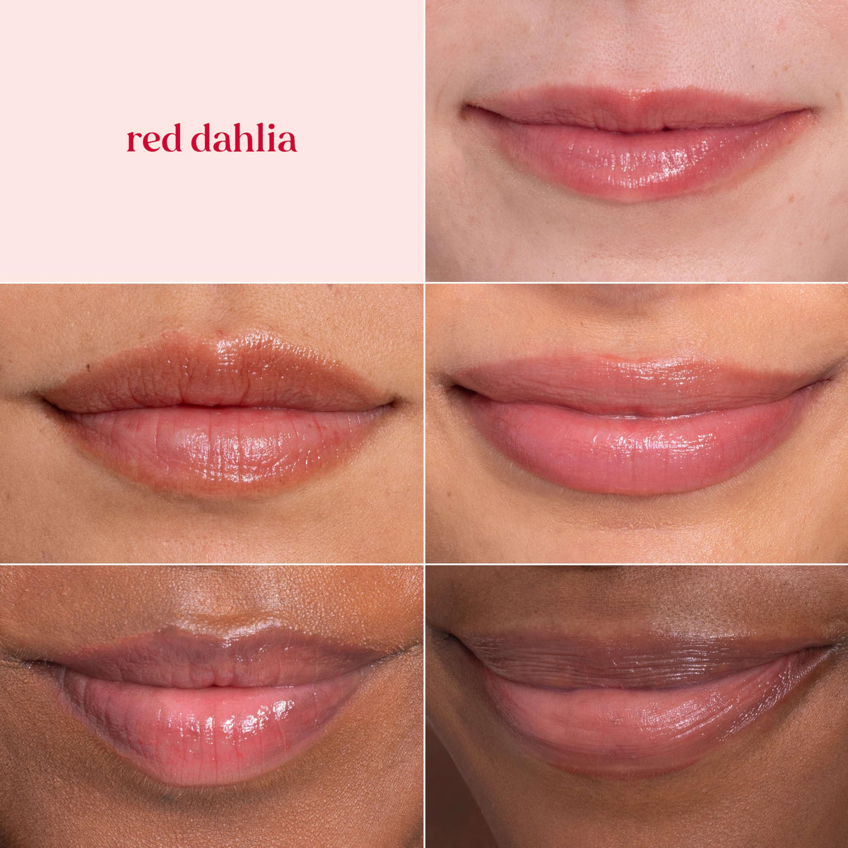 Burt's Bees Rose tube open showing warm rosy tint for everyday wear