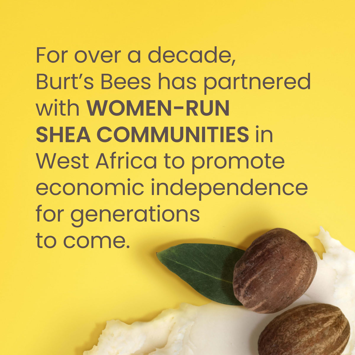 Burt's Bees label close-up highlighting natural-origin ingredients and gentle formula