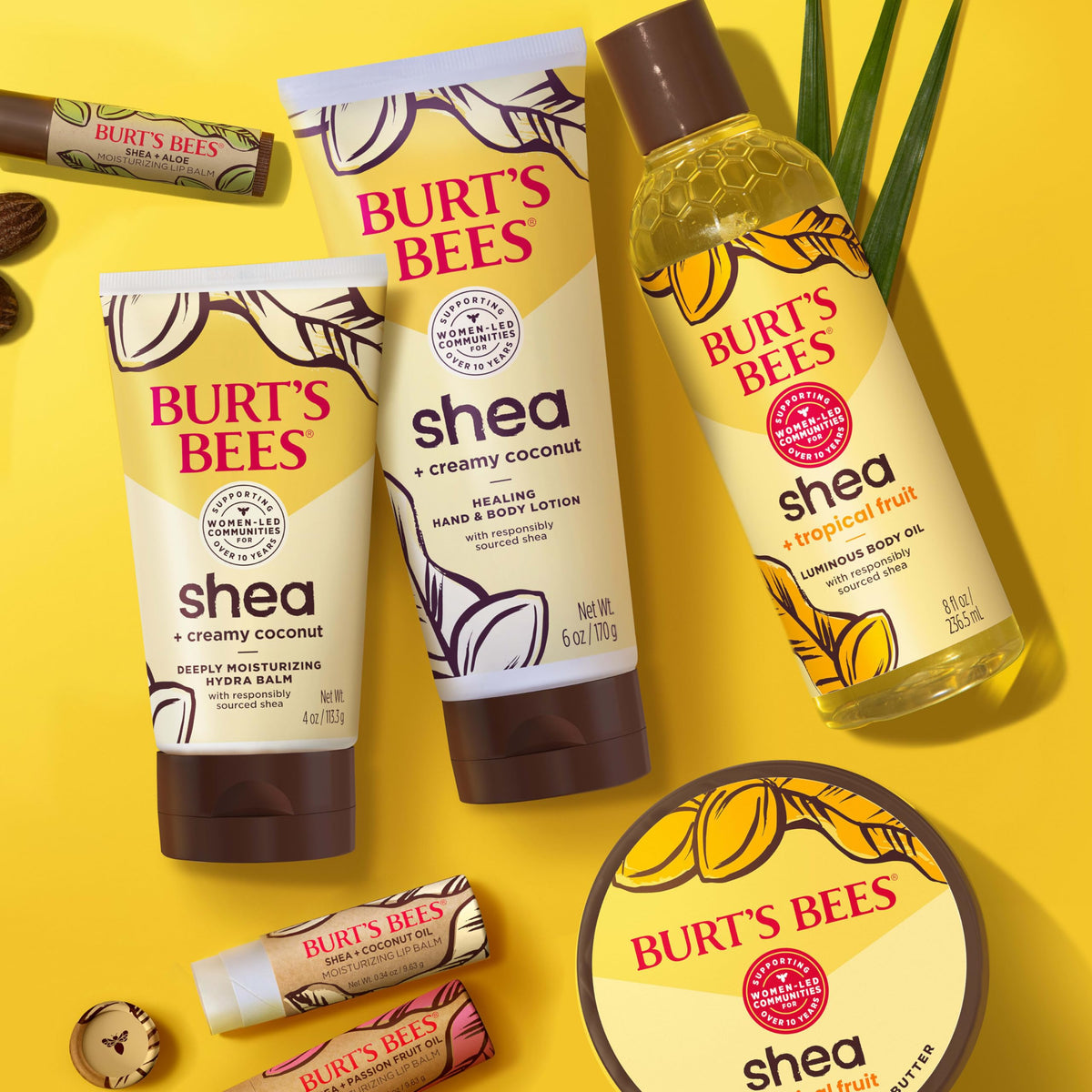 Women-led shea community workers with Shea fruit for Burt's Bees ethical sourcing
