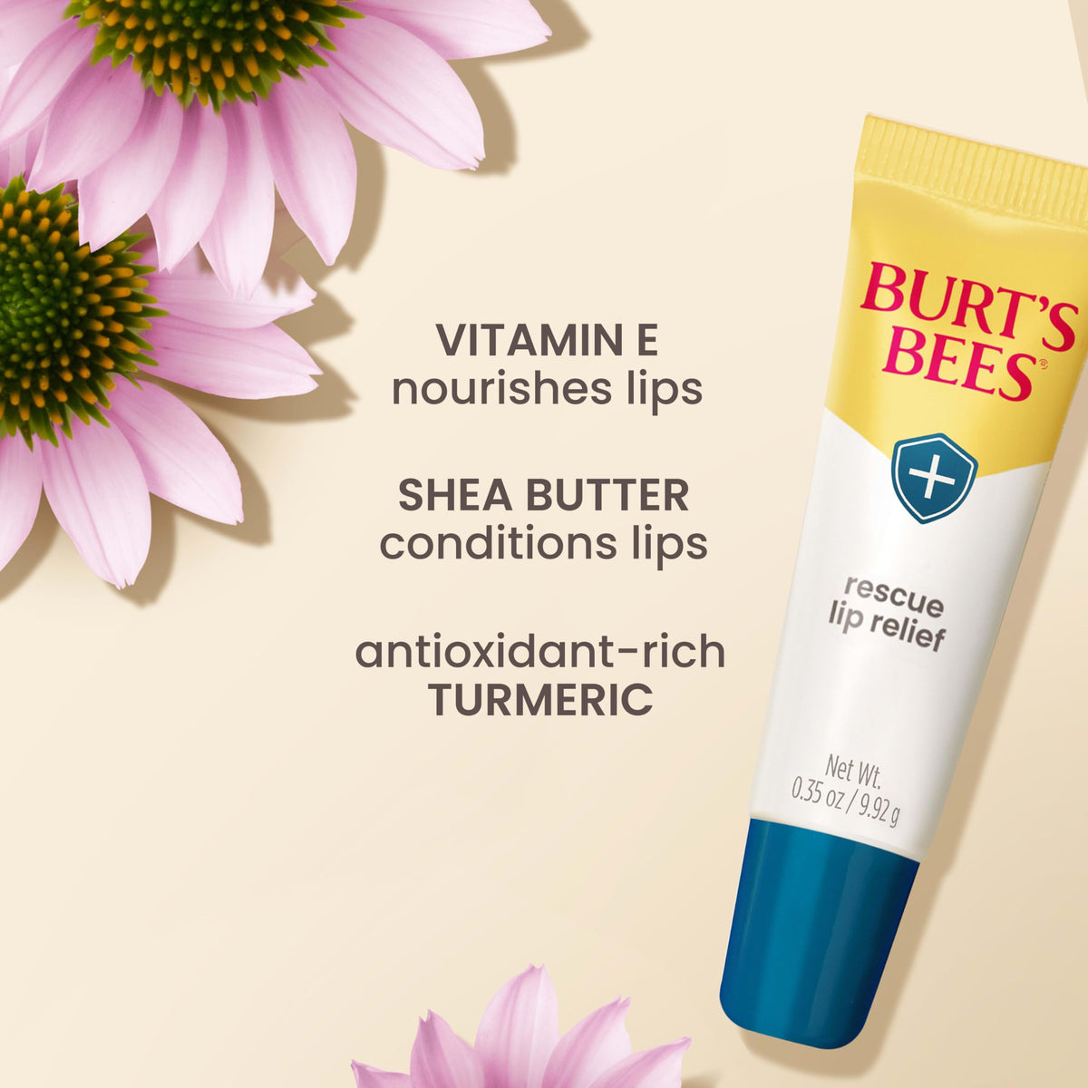 Burt's Bees tube next to a coin showing scale for portability and travel-ready benefit