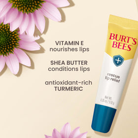 Burt's Bees tube next to a coin showing scale for portability and travel-ready benefit