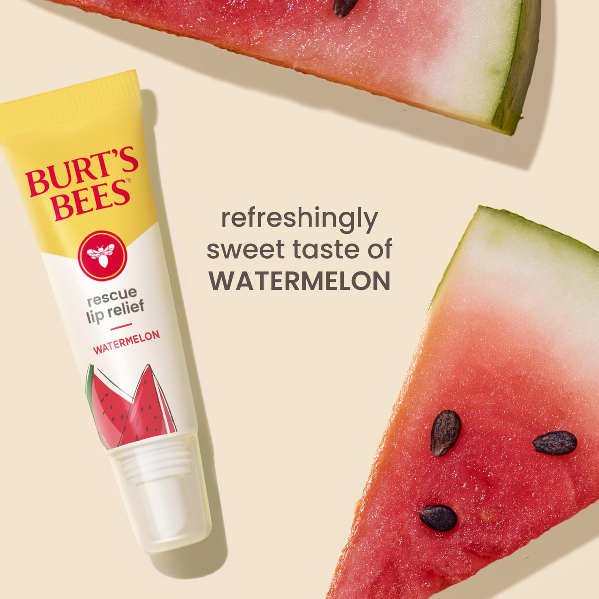 Burt's Bees tube beside coin to show compact travel-friendly size