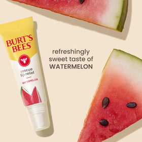 Burt's Bees tube beside coin to show compact travel-friendly size