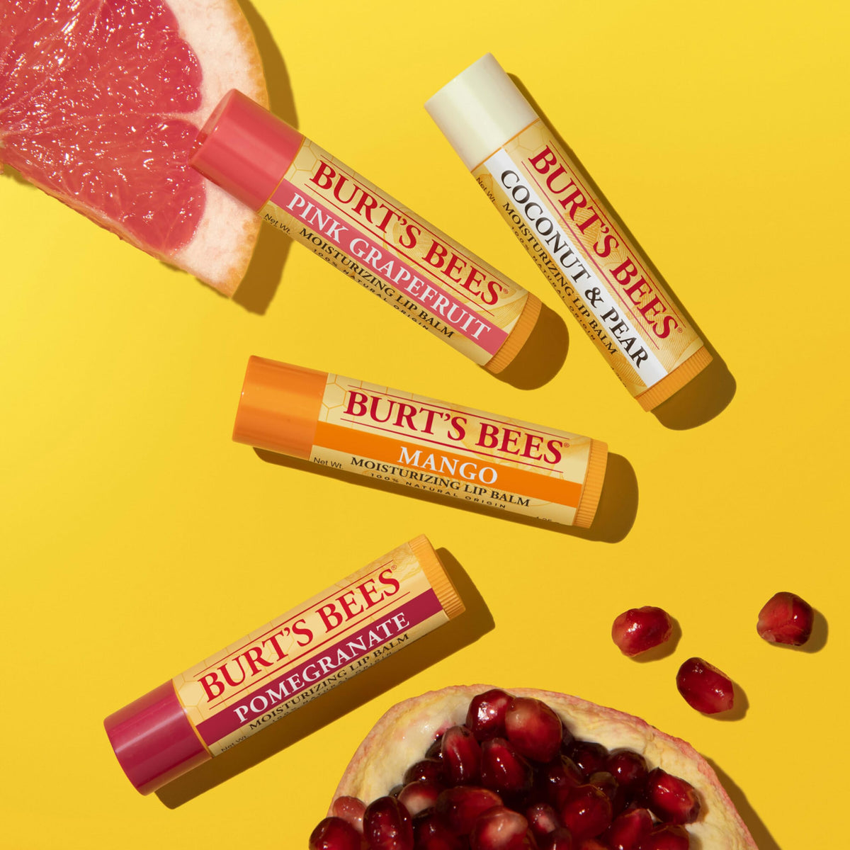 Burt's Bees lip balm beside a coin showing compact size and portability