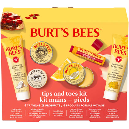 Burt's Bees kit box front showing all six travel-size items and gift-ready packaging