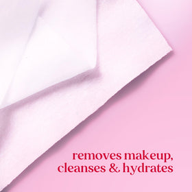 Burt's Bees travel pouch with wipes illustrating portable cleansing on the go