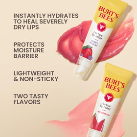 Burt's Bees Watermelon tube close-up highlighting applicator and quick hydration