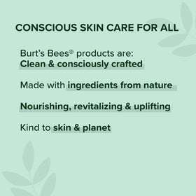 Burt's Bees Whisper next to coin for size comparison and travel-friendly convenience