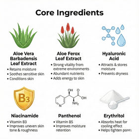 by.H visual of aloe leaf and actives conveying organic ingredient benefits
