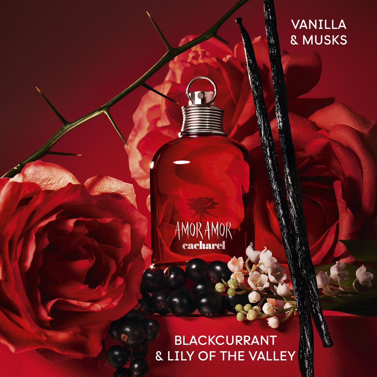 Cacharel Amor Amor ingredients focus on blackcurrant and citrus showing fruity brightness