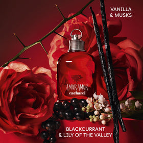 Cacharel Amor Amor ingredients focus on blackcurrant and citrus showing fruity brightness