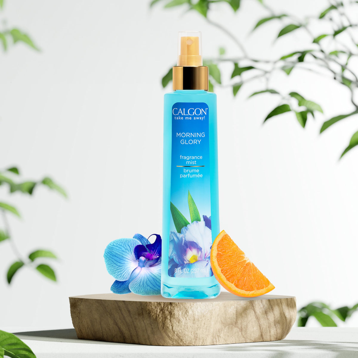 Calgon scale comparison in hand showing 8 fl oz size and travel-friendly portability benefit