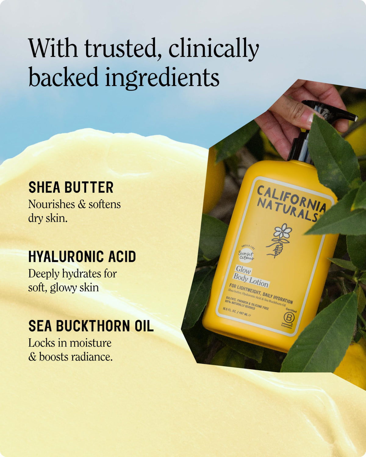 California Naturals cream texture close-up showing lightweight, fast-absorbing lotion