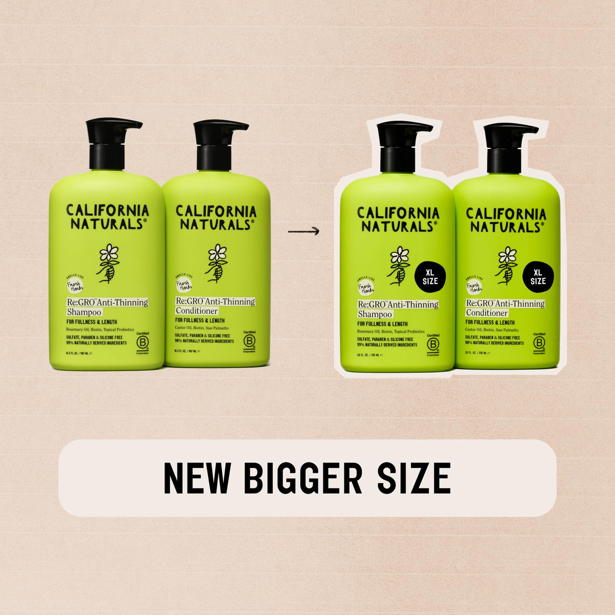 California Naturals Re:GRO active ingredients flatlay with biotin, rosemary and oils for scalp support