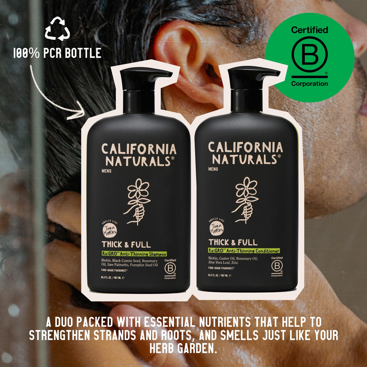 California Naturals ingredients rosemary and coffee beans highlighting scalp-stimulating benefit