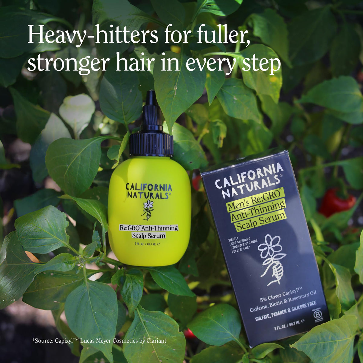 California Naturals Re:Gro with rosemary and castor oil illustrating nourishing botanicals