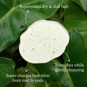 California Naturals back label with ingredient and usage information
