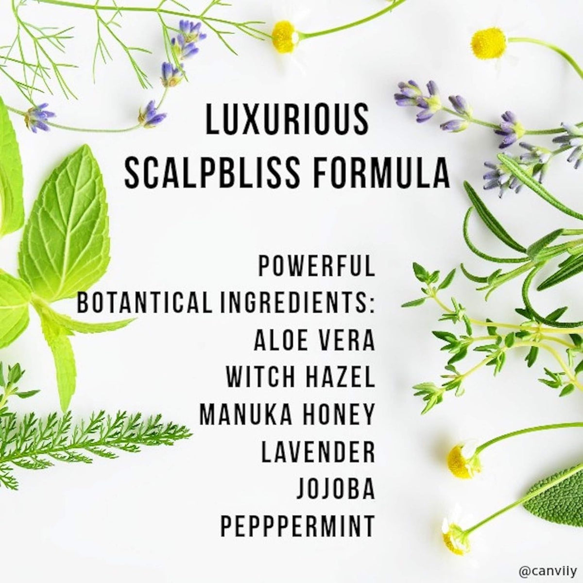 Canviiy ScalpBliss applied before styling delivering instant cooling and comfort