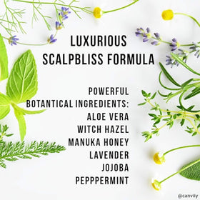Canviiy ScalpBliss applied before styling delivering instant cooling and comfort
