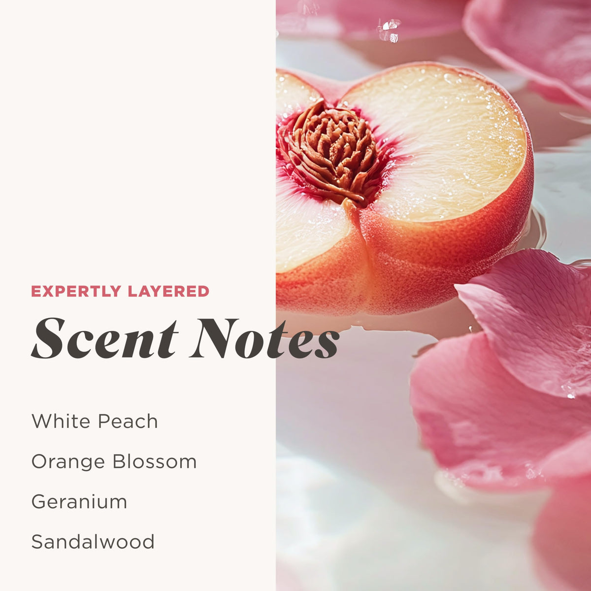 Caress ingredients display with hyaluronic acid and vitamin B3 benefits
