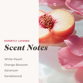 Caress ingredients display with hyaluronic acid and vitamin B3 benefits