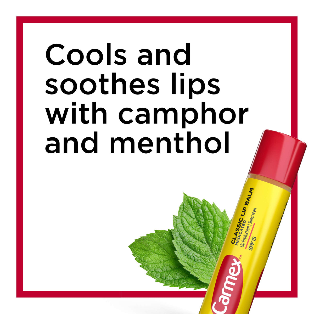 Carmex texture close-up highlighting creamy cocoa butter formula for hydration