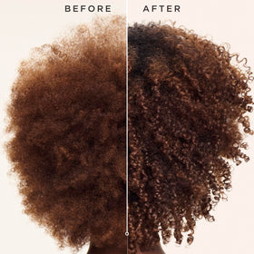 Carol's Daughter applying conditioner to wet curly hair for easier detangling