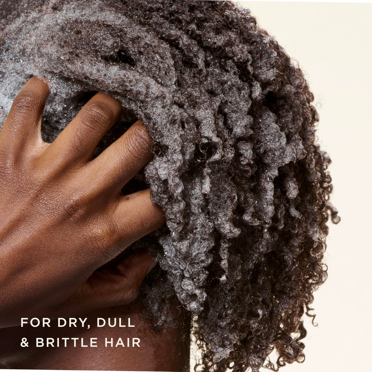 Carol's Daughter shampoo lather texture demonstrating gentle cleanse benefit