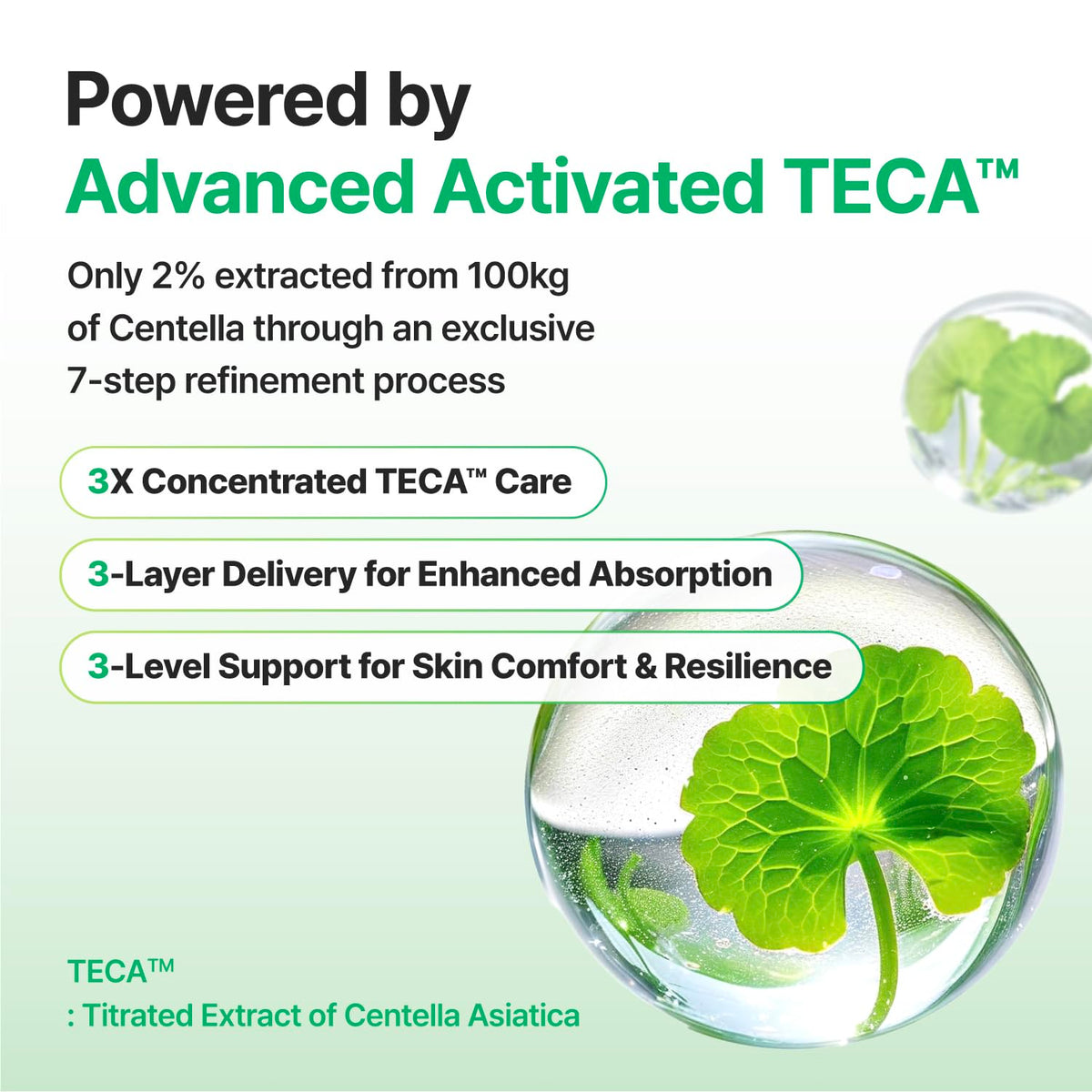 CENTELLIAN 24 label close-up highlighting TECA centella ingredient benefits