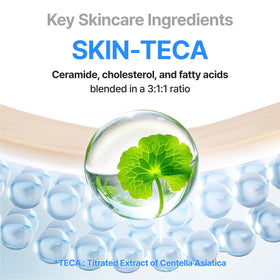 CENTELLIAN 24 applied on hand illustrating smooth transparent absorption