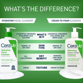 CeraVe bottle beside moisturizer for scale, suggests daily routine pairing