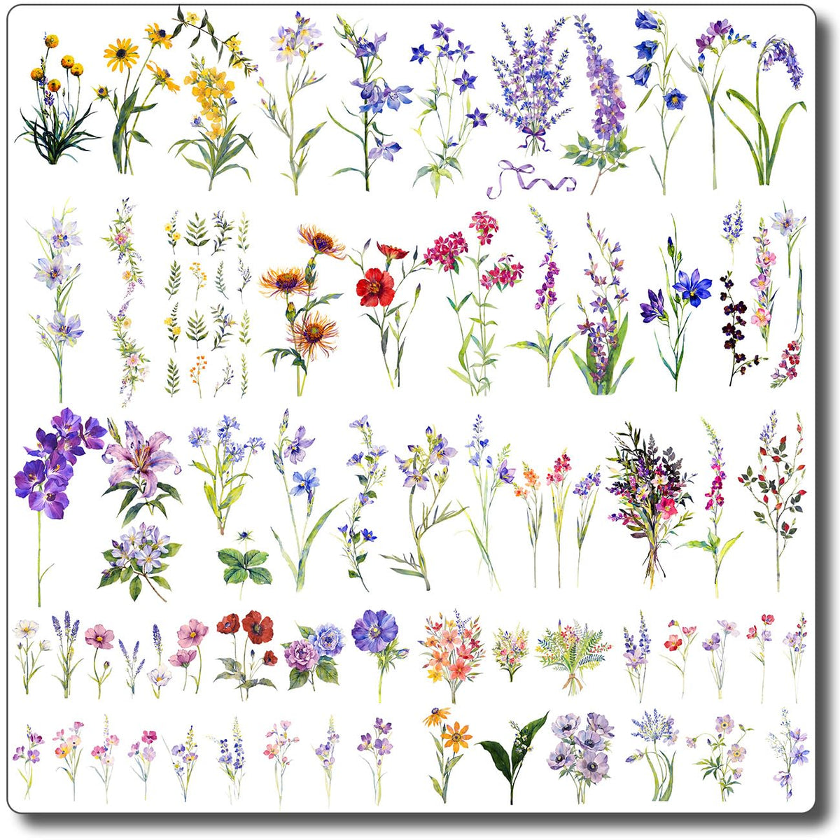CHARLENT front packaging showing 40 sheets and floral designs for easy styling