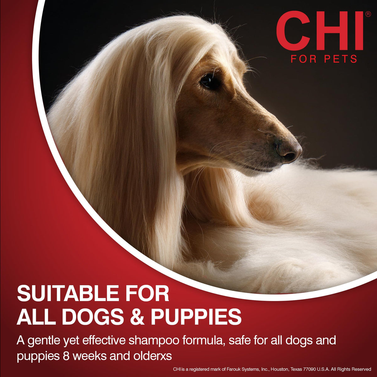 CHI after-wash coat showing reduced frizz and improved shine
