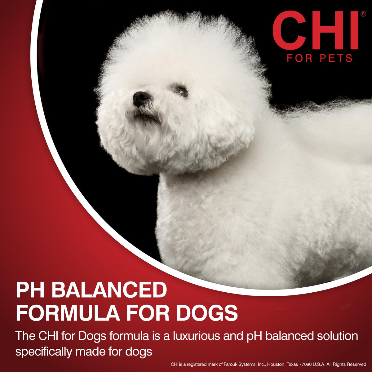 CHI lather on dog coat demonstrating gentle cleansing and foam