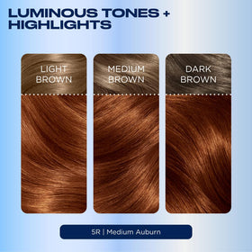 Clairol Nice'n Easy hair swatches showing multi-tone auburn dimension and depth