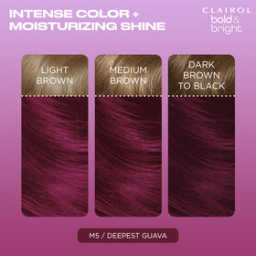 Clairol activator bottle close-up ensures even developer mixing benefit