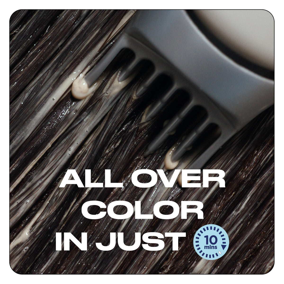 Clairol before and after comparison demonstrating full gray coverage benefit