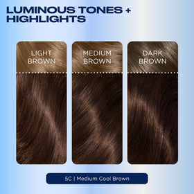Clairol before and after showing gray coverage and natural dimension