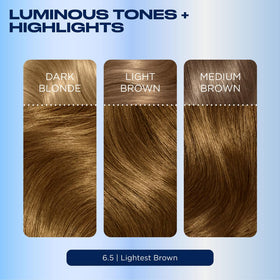 Clairol before and after images demonstrating 100% gray coverage