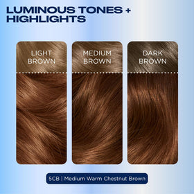 Clairol before and after photo showing full gray coverage result