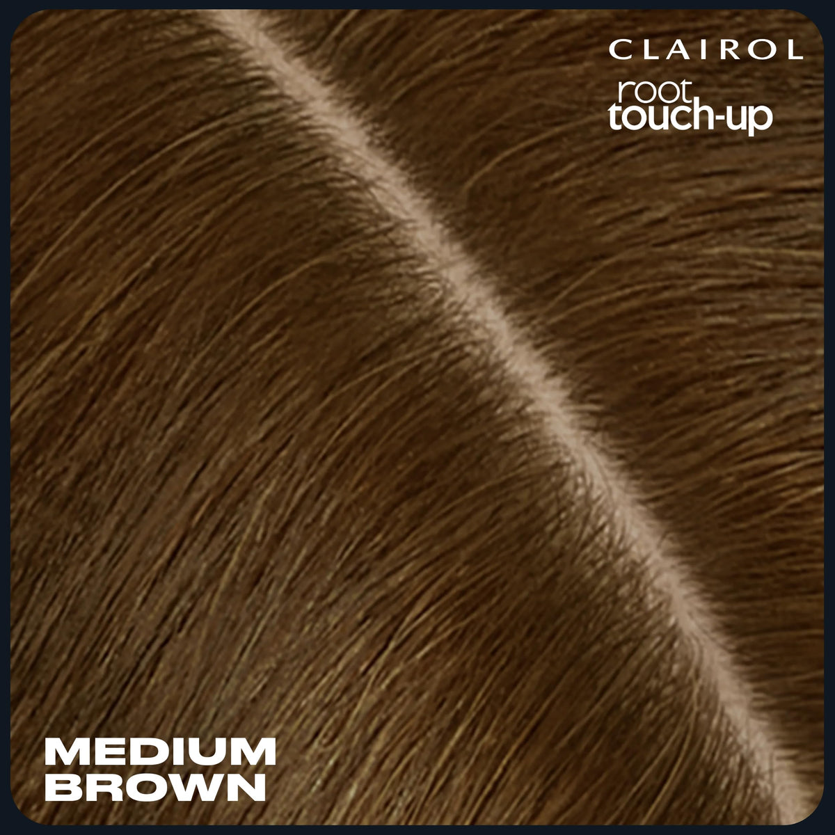 Clairol before and after roots demonstrating visible gray blending