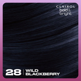 Styled hair after Clairol Bold & Bright Wild Blackberry showing intense shine