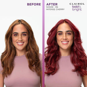 Clairol Bold & Bright kit contents laid out for a single full-head application benefit clarity