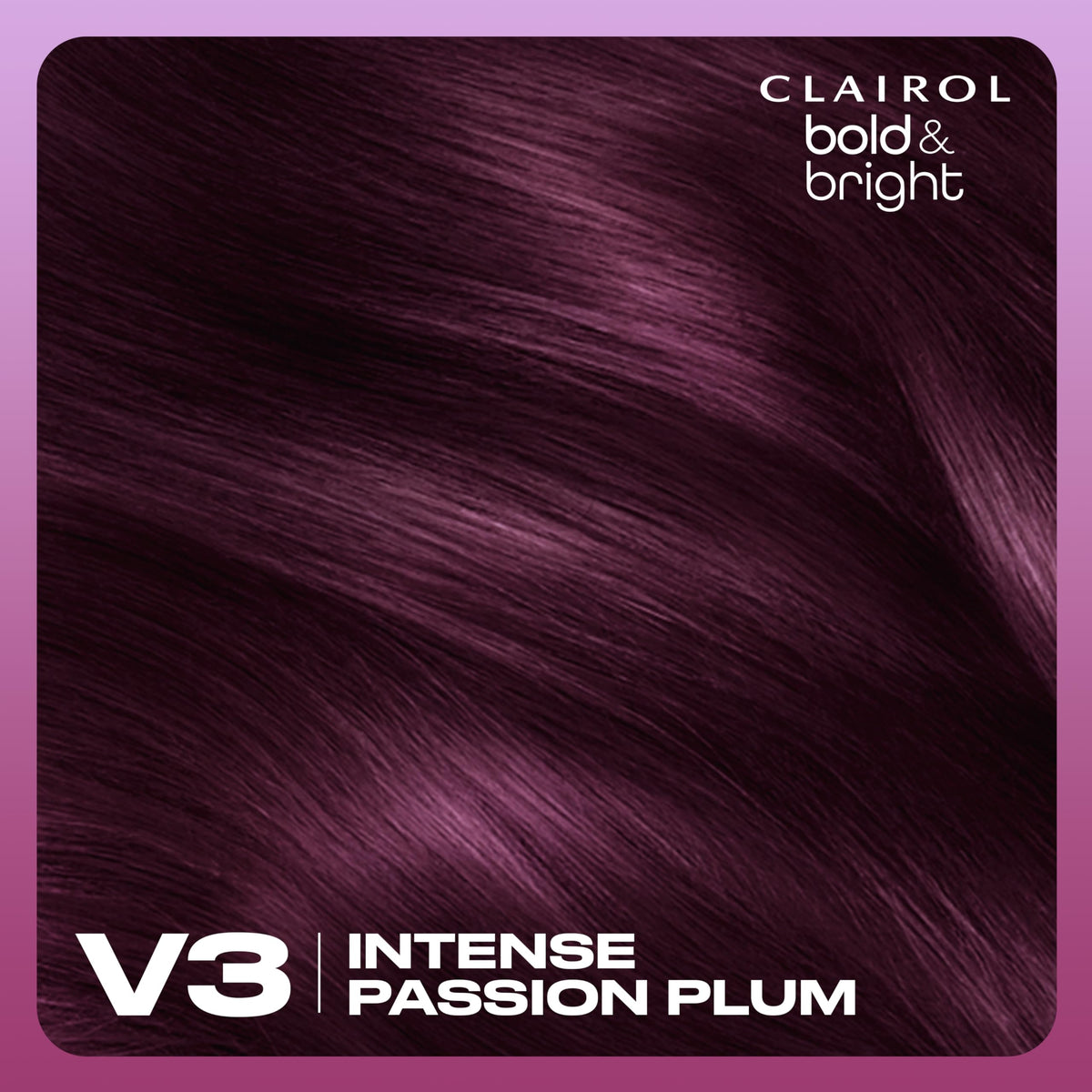 Clairol Bold & Bright shade swatch strands displaying true Intense Passion Plum tone
