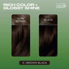 Clairol coconut oil ingredient pipette highlighting nourishing shine benefits