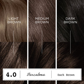 Clairol Barcelona shade swatches showing multidimensional dark brown