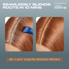 Clairol mixed color texture in bowl — smooth blend for even coverage
