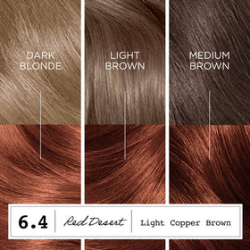 Clairol ColorStrong included gloves and instruction leaflet ready for safe home application