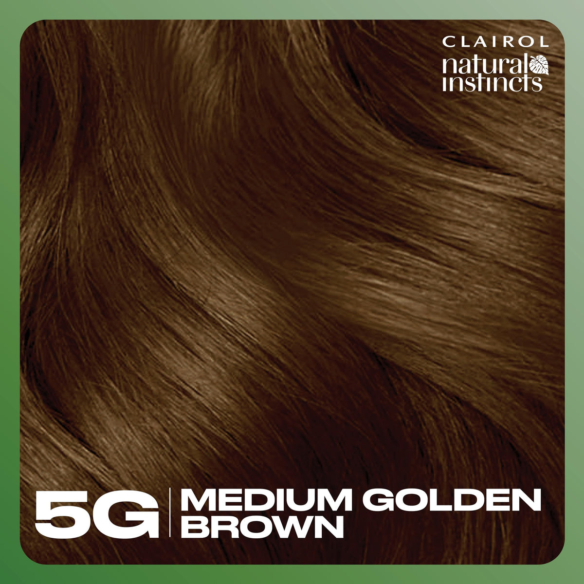 Clairol lifestyle model wearing warm medium golden brown hair